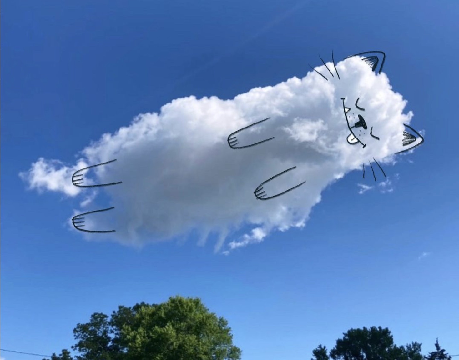 A Daily Cloud