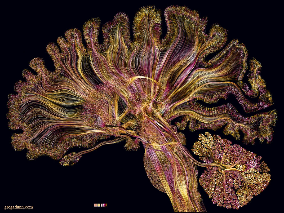 Greg Dunn, Art vs Science